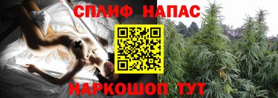 амф Будённовск