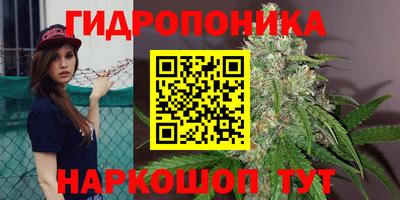 амф Будённовск